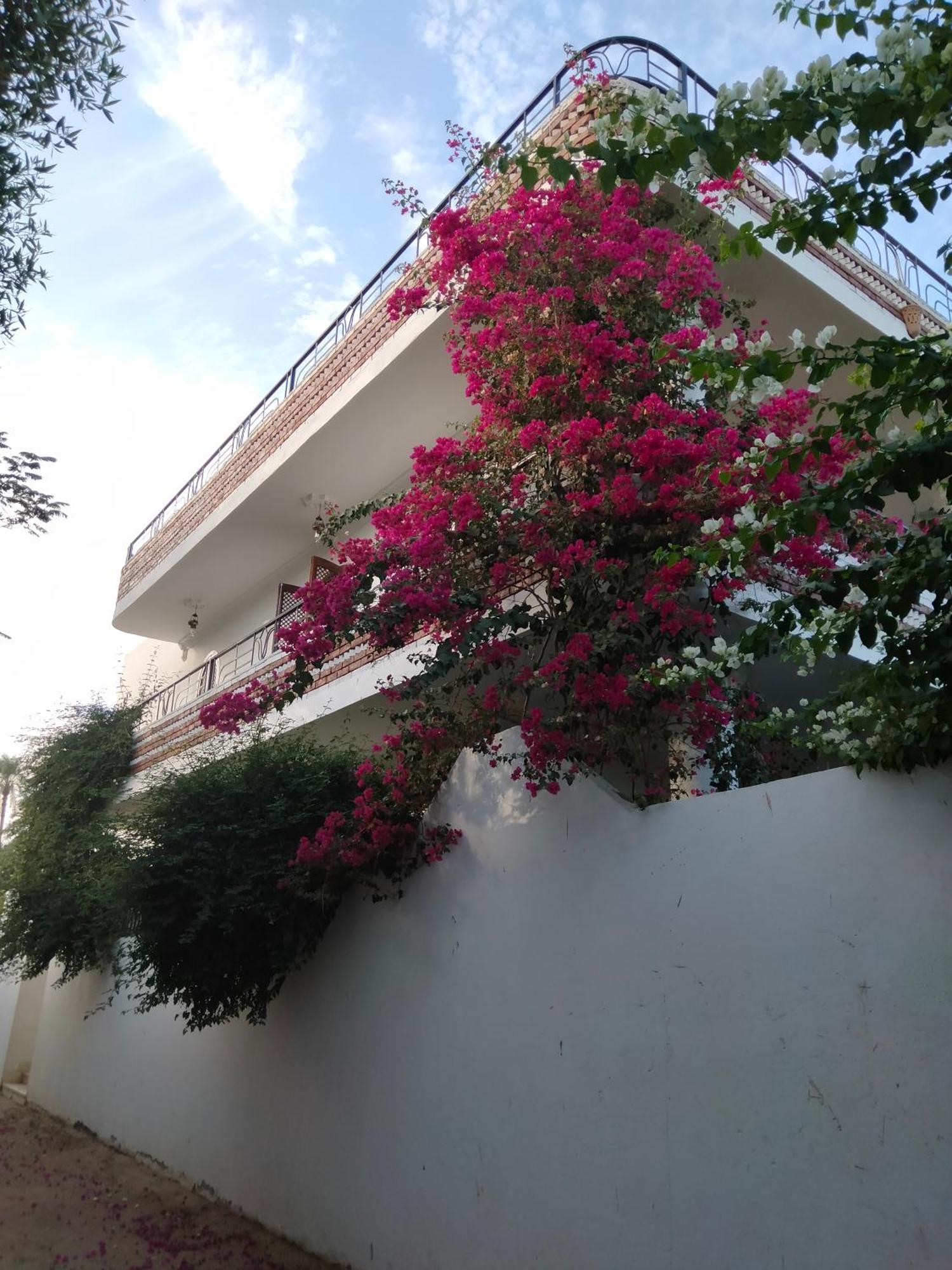 Villa Quiet Place Луксор Екстер'єр фото